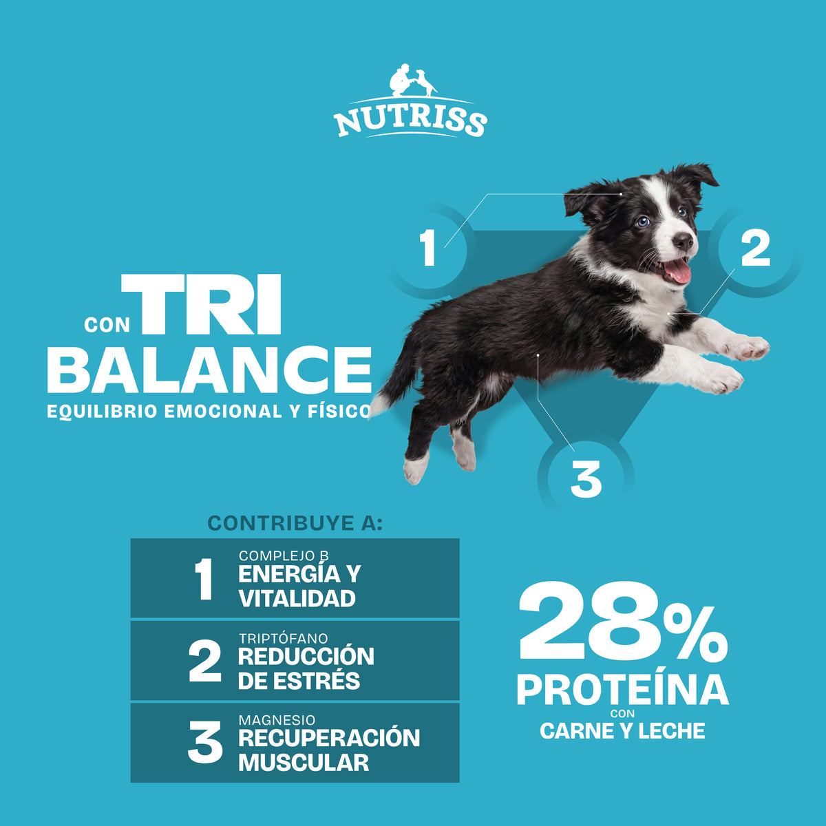 Nutriss cachorros con TRIBALANCE es un concentrado para perros con 28 % de proteína y como primer ingrediente proteína animal