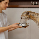 Nutriss Adultos Sabor a Carne y Vegetales