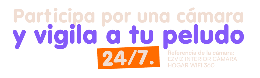 Imagen del concurso
