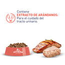 Nutriss Adultos sabor Salmón y Atún