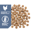 Go! Solutions Weight Management + Joint Care Perros Receta de Pollo Sin Granos