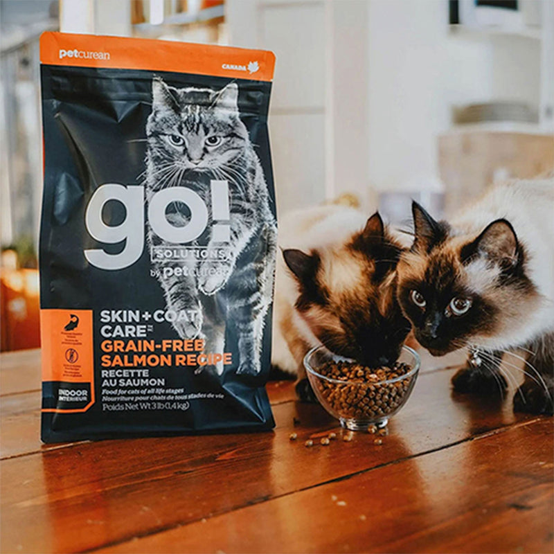 Go! Solutions Skin + Coat Care Gatos Receta de Salmón Sin Granos - Mizooco