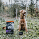 Go! Solutions Carnivore Receta Senior de Pollo, Pavo y Pato Sin Granos