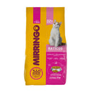 Mirringo Gaticos