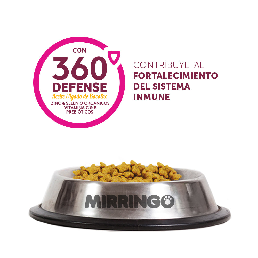 Mirringo Gaticos