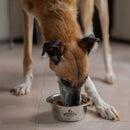 Nutriss Trocitos en Salsa sabor a Carne