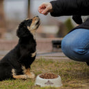 Nutriss Trocitos en Salsa sabor a Pollo