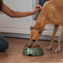 Nutriss al Natural Adultos - Mizooco