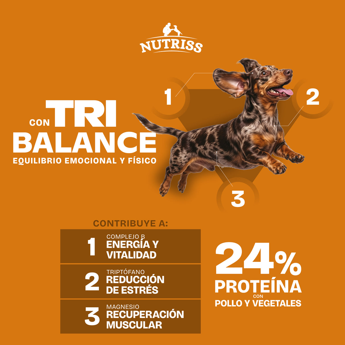 Nutriss TRIBALANCE es un concentrado para perros con 24 % de proteína y como primer ingrediente proteína animal