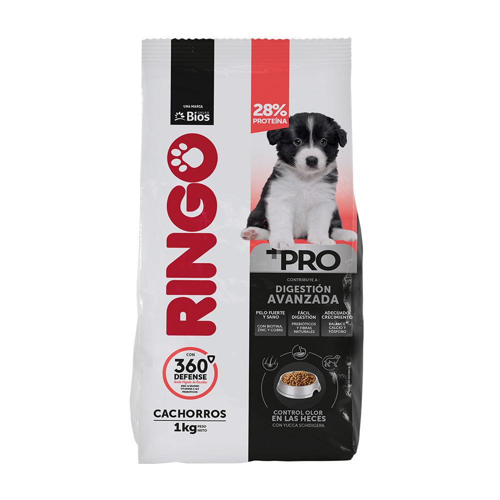 Ringo +PRO Perros Cachorros