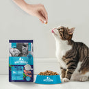 Nutriss Gaticos sabor Pollo y Leche