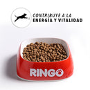 Ringo Original Adultos