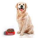 Ringo Original Adultos