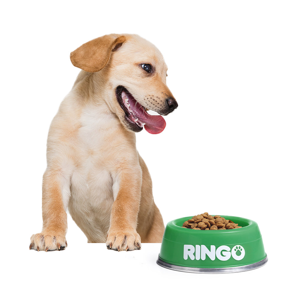 Ringo Original Perros Cachorros