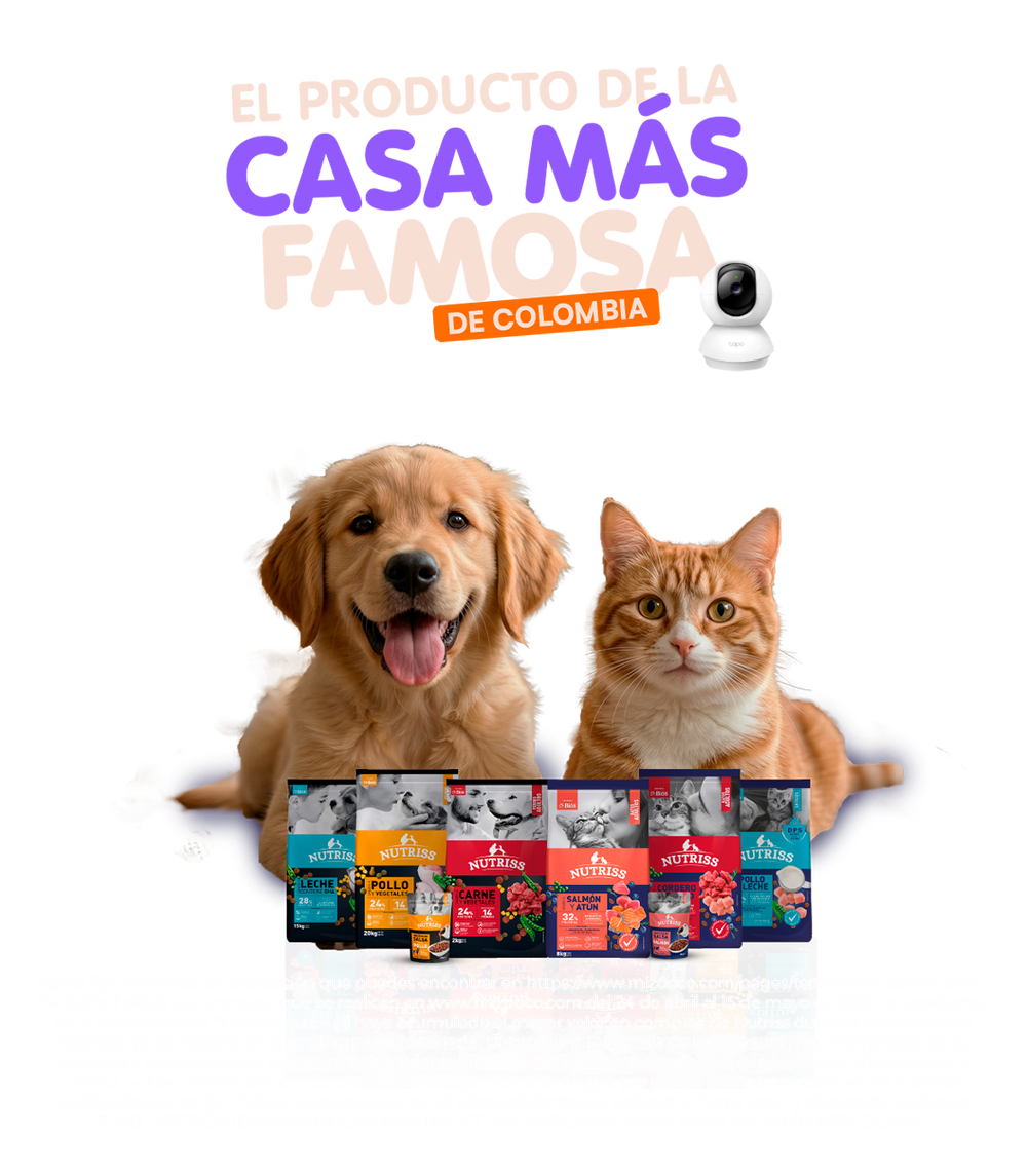 Imagen del concurso