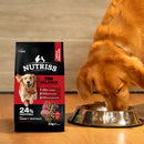 Nutriss con TRIBALANCE ayuda al bienestar emocional, digestivo y físico de tu perro
